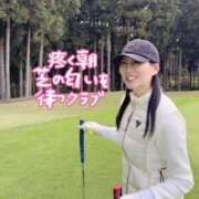 ヒメ日記 2026/05/08 07:01 投稿 白藤 プレジデントクラブ