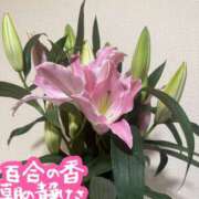 ヒメ日記 2026/05/10 06:30 投稿 白藤 プレジデントクラブ
