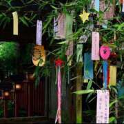 ヒメ日記 2026/07/08 06:01 投稿 白藤 プレジデントクラブ