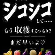 ヒメ日記 2026/08/15 06:00 投稿 白藤 プレジデントクラブ