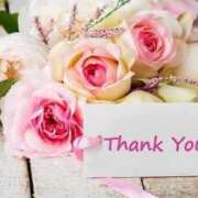 ヒメ日記 2024/12/30 09:40 投稿 美夜子(みやこ) 五十路エステハイブリッド(カサブランカグループ)