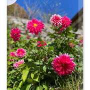 ヒメ日記 2025/11/05 11:48 投稿 美夜子(みやこ) 五十路エステハイブリッド(カサブランカグループ)