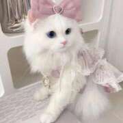 ヒメ日記 2025/12/20 07:48 投稿 あいら 静岡♂風俗の神様 静岡店