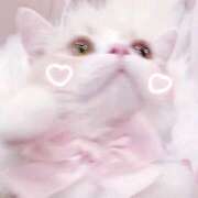 ヒメ日記 2025/12/22 04:23 投稿 あいら 静岡♂風俗の神様 静岡店