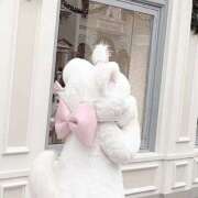 ヒメ日記 2025/12/22 21:48 投稿 あいら 静岡♂風俗の神様 静岡店