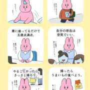 ヒメ日記 2026/01/15 08:48 投稿 あいら 静岡♂風俗の神様 静岡店