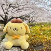 ヒメ日記 2026/02/28 17:38 投稿 あいら 静岡♂風俗の神様 静岡店