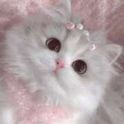 ヒメ日記 2026/03/01 02:18 投稿 あいら 静岡♂風俗の神様 静岡店