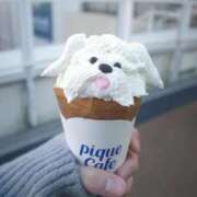 ヒメ日記 2026/03/27 12:18 投稿 あいら 静岡♂風俗の神様 静岡店