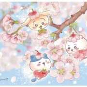 ヒメ日記 2026/04/02 23:18 投稿 あいら 静岡♂風俗の神様 静岡店