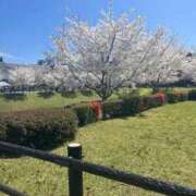 ヒメ日記 2026/04/04 07:08 投稿 あいら 静岡♂風俗の神様 静岡店