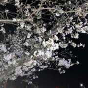 ヒメ日記 2026/04/04 22:08 投稿 あいら 静岡♂風俗の神様 静岡店