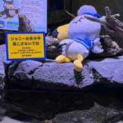 ヒメ日記 2026/04/19 15:14 投稿 あいら 静岡♂風俗の神様 静岡店