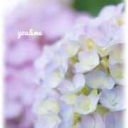 ヒメ日記 2025/06/21 07:30 投稿 わこう 奥鉄オクテツ東京店（デリヘル市場）