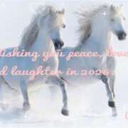 わこう 2026♡初春の調べ.･*:.｡❁ 奥鉄オクテツ東京店（デリヘル市場）