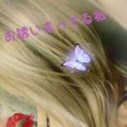 ヒメ日記 2024/12/19 16:30 投稿 ねね 人妻美人館