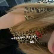 ヒメ日記 2025/05/25 15:54 投稿 ねね 人妻美人館