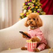 ヒメ日記 2025/11/27 12:36 投稿 ねね 人妻美人館