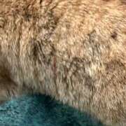 ヒメ日記 2025/02/06 06:44 投稿 雅　きょうか 快楽園 大阪梅田