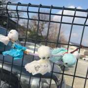 ヒメ日記 2025/02/10 22:14 投稿 雅　きょうか 快楽園 大阪梅田