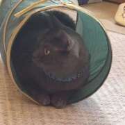 ヒメ日記 2025/03/04 21:17 投稿 雅　きょうか 快楽園 大阪梅田