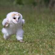 ヒメ日記 2025/03/07 06:44 投稿 雅　きょうか 快楽園 大阪梅田