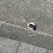 ヒメ日記 2025/03/23 07:34 投稿 雅　きょうか 快楽園 大阪梅田