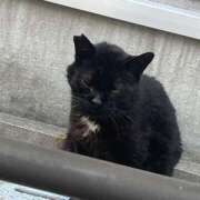 ヒメ日記 2025/03/25 23:14 投稿 雅　きょうか 快楽園 大阪梅田