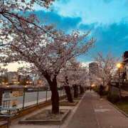 ヒメ日記 2025/04/09 09:43 投稿 雅　きょうか 快楽園 大阪梅田