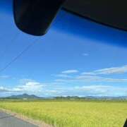 ヒメ日記 2025/04/12 14:14 投稿 雅　きょうか 快楽園 大阪梅田