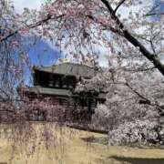 ヒメ日記 2025/04/13 14:13 投稿 雅　きょうか 快楽園 大阪梅田