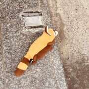 ヒメ日記 2025/04/23 07:43 投稿 雅　きょうか 快楽園 大阪梅田