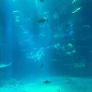 ヒメ日記 2025/05/13 22:39 投稿 雅　きょうか 快楽園 大阪梅田