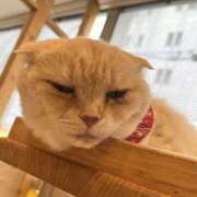 ヒメ日記 2025/05/22 12:39 投稿 雅　きょうか 快楽園 大阪梅田