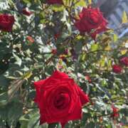 ヒメ日記 2025/06/13 22:59 投稿 雅　きょうか 快楽園 大阪梅田