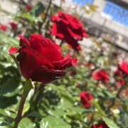 ヒメ日記 2025/06/22 23:39 投稿 雅　きょうか 快楽園 大阪梅田