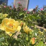 ヒメ日記 2025/07/14 23:39 投稿 雅　きょうか 快楽園 大阪梅田