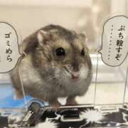 ヒメ日記 2025/07/24 20:29 投稿 雅　きょうか 快楽園 大阪梅田