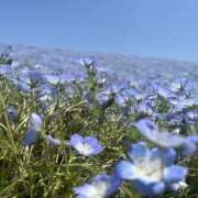 ヒメ日記 2025/08/10 23:09 投稿 雅　きょうか 快楽園 大阪梅田