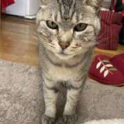 ヒメ日記 2025/09/18 12:09 投稿 雅　きょうか 快楽園 大阪梅田