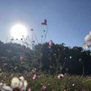 ヒメ日記 2025/10/23 18:09 投稿 雅　きょうか 快楽園 大阪梅田