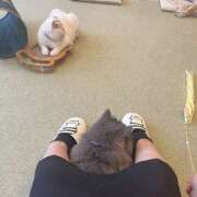 ヒメ日記 2025/11/18 17:39 投稿 雅　きょうか 快楽園 大阪梅田