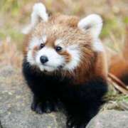 ヒメ日記 2025/12/06 10:39 投稿 雅　きょうか 快楽園 大阪梅田