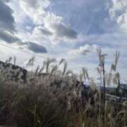 ヒメ日記 2025/12/25 12:29 投稿 雅　きょうか 快楽園 大阪梅田