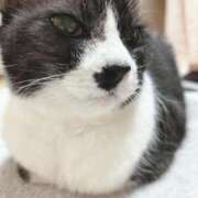 ヒメ日記 2024/12/16 06:02 投稿 める 北九州人妻倶楽部（三十路、四十路、五十路）