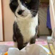 ヒメ日記 2024/12/16 17:33 投稿 める 北九州人妻倶楽部（三十路、四十路、五十路）