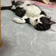 ヒメ日記 2024/12/29 17:24 投稿 める 北九州人妻倶楽部（三十路、四十路、五十路）