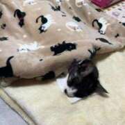 ヒメ日記 2025/01/20 17:35 投稿 める 北九州人妻倶楽部（三十路、四十路、五十路）