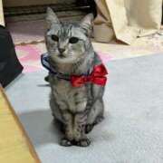 ヒメ日記 2025/01/26 06:01 投稿 める 北九州人妻倶楽部（三十路、四十路、五十路）