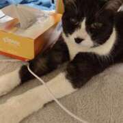 ヒメ日記 2025/02/17 20:40 投稿 める 北九州人妻倶楽部（三十路、四十路、五十路）